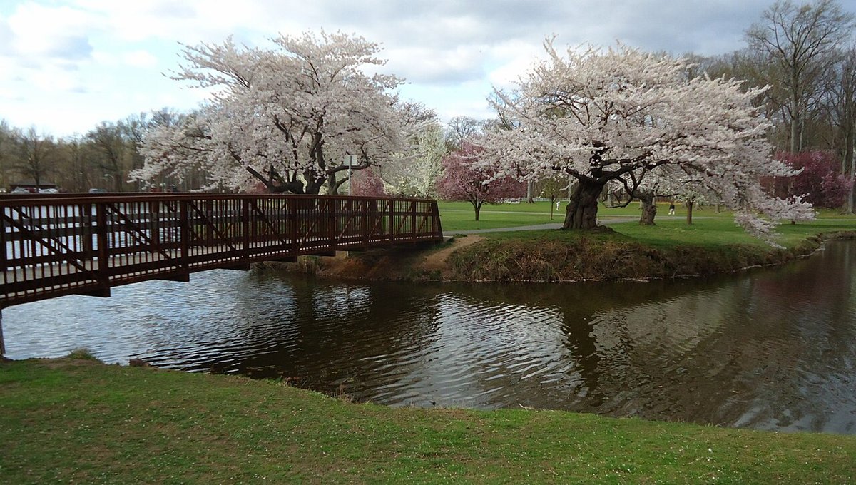Winfield Park, NJ - Rahway River Parkway - Wikipedia